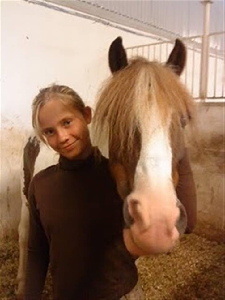 Anden særlig race Apache billede 5