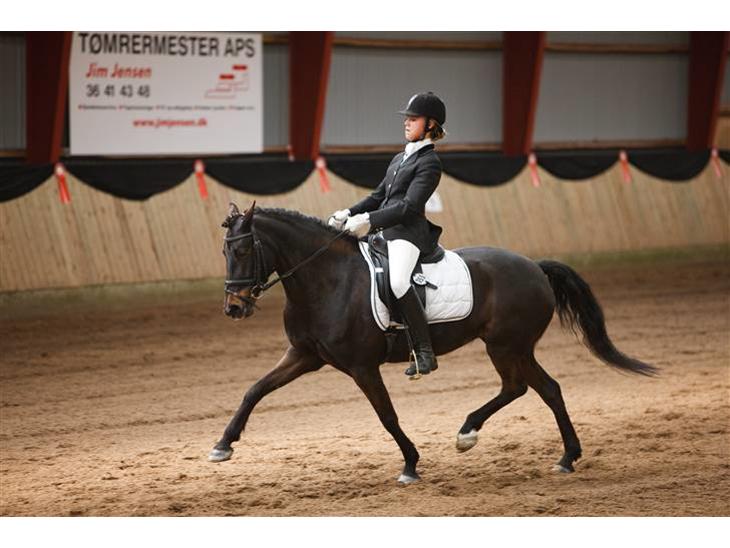 {{currentPhoto.altText}} billede {{currentPhoto.number}}