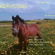 New Forest Cheri**solgt**