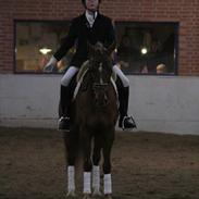 DSP Aischa SDS 245  *SOLGT*