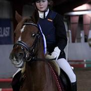 DSP Aischa SDS 245  *SOLGT*