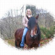 Koldblodstraver Alvanesen