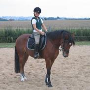 New Forest Toronto (R.I.P)