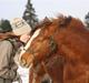 Irish Cob SPIRIT