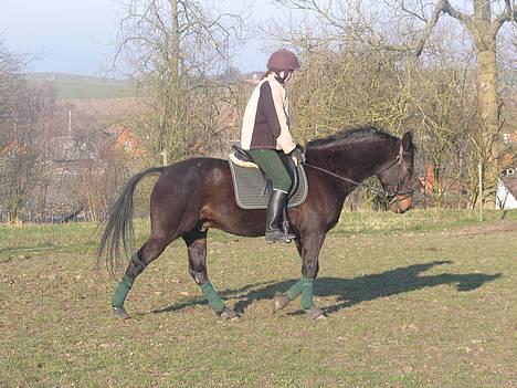 Traver Elliot Swing (Fjot) Død) - Træning 24 marts 2007 Foto Trine billede 10