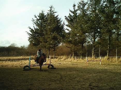New Forest Fanny || Gammel part :( - Hopper ! .. <3 billede 18