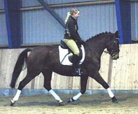 Dansk Varmblod Bailey *SOLGT* - Her har vi Bailey med Sandra, som jeg købte hende af. billede 1