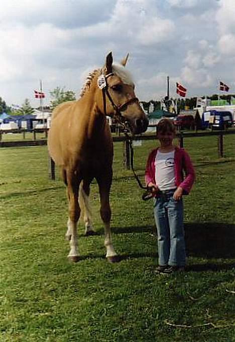 New Forest Stegstedgårds Frida - Frida og jeg på dyrskue!!  2002 © Min far billede 3