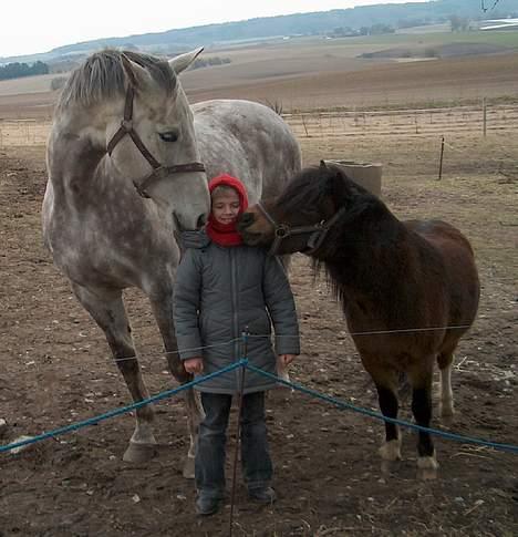 Dansk Varmblod Vennelunds Nala *R.I.P* - Nala og Coco giver Line et kys ;) FOTO: min mor eller moster billede 9