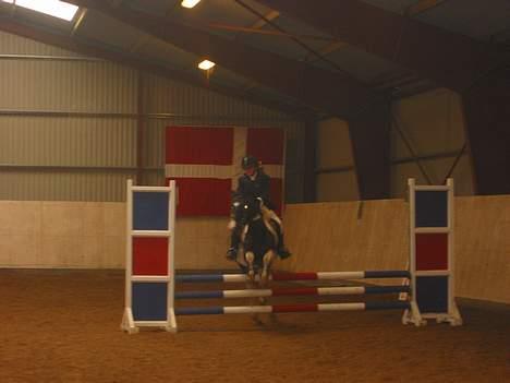 Pinto Vestergaards Domino billede 8