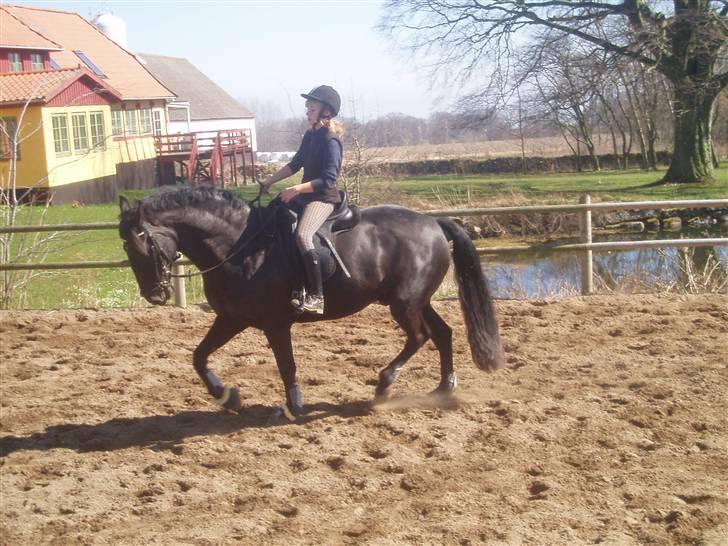 Anden særlig race Baltic Zorro <33  - :-* billede 11