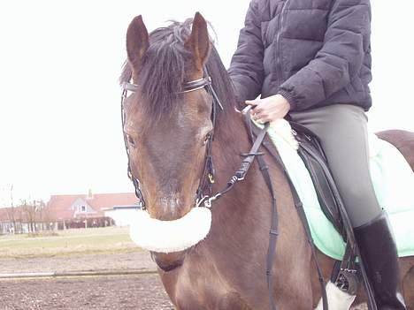Anden særlig race Frederik - R.I.P. :'( - Nu skal vi bare se søde ud, så kommer vi hurtigere ind i stalden igen... billede 8