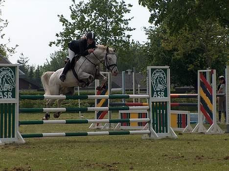 Knabstrupper Zeus R.I.P billede 12