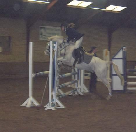 Anden særlig race unicorn(solgt) - FMR stævne taget af Monica. billede 11