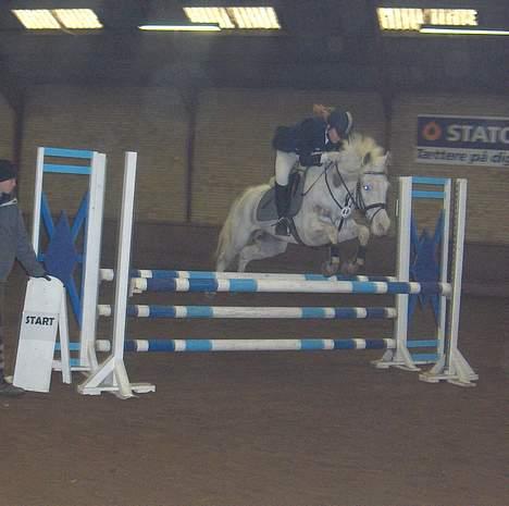 Anden særlig race unicorn(solgt) - FMR stævne taget af Monica. billede 12