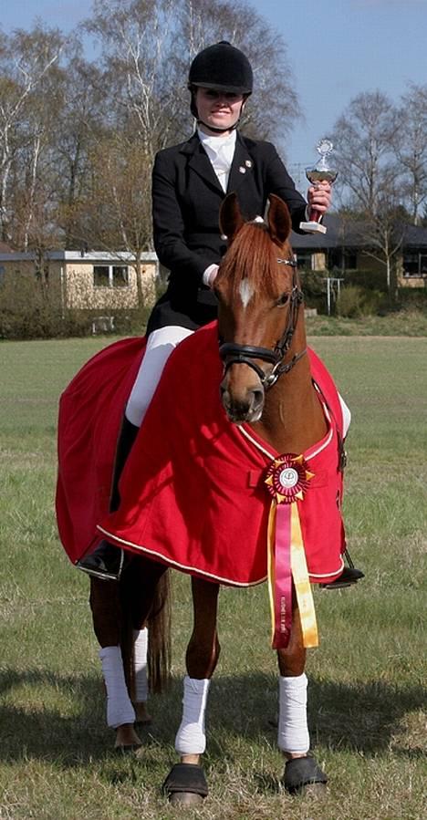 DSP Samson  (solgt) - Lille Samsonpuds... billede 1