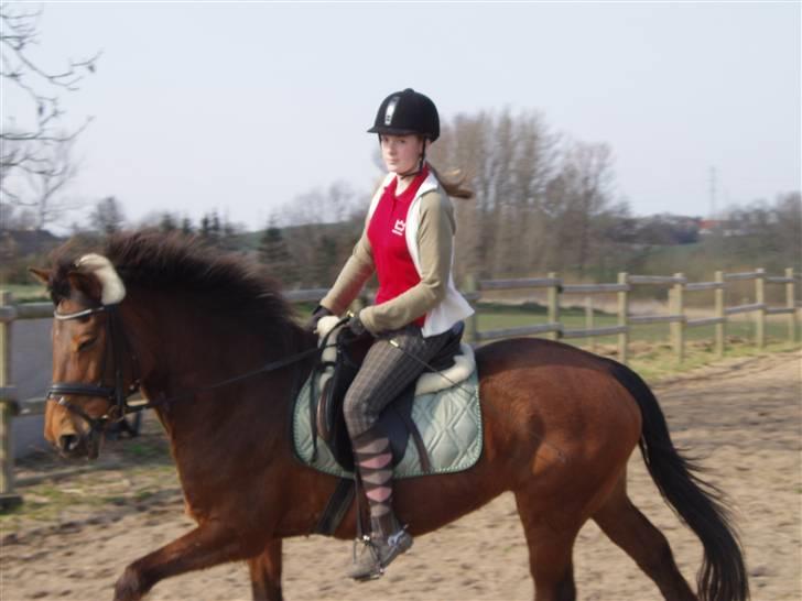 Anden særlig race Pixi *Død* - april 2008 billede 6