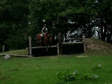 Anden særlig race Shannon (R.I.P) - hov der var langt ned     ahrrrrr       billede 2