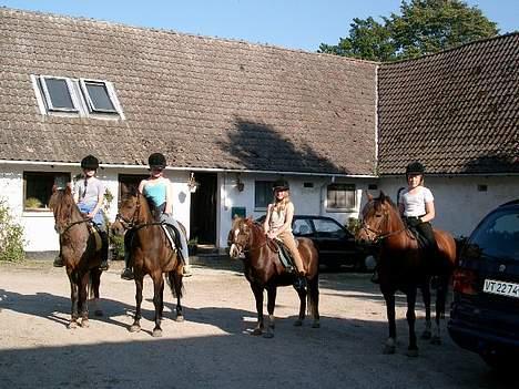 Anden særlig race Shannon (R.I.P) - vinninderne og mig billede 4