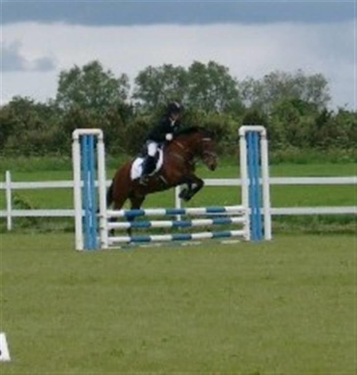 Anden særlig race Shannon (R.I.P) billede 5