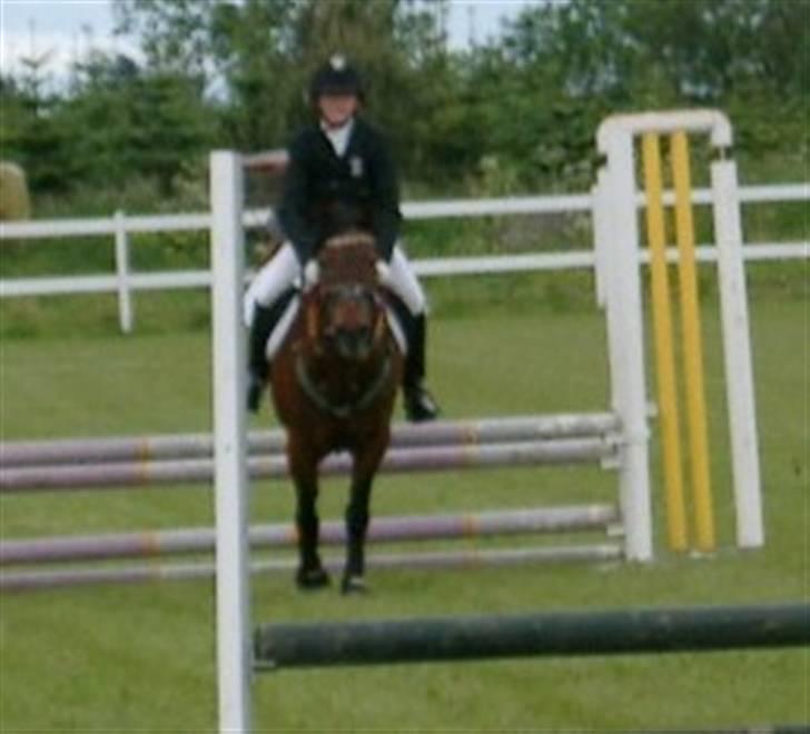 Anden særlig race Shannon (R.I.P) billede 6