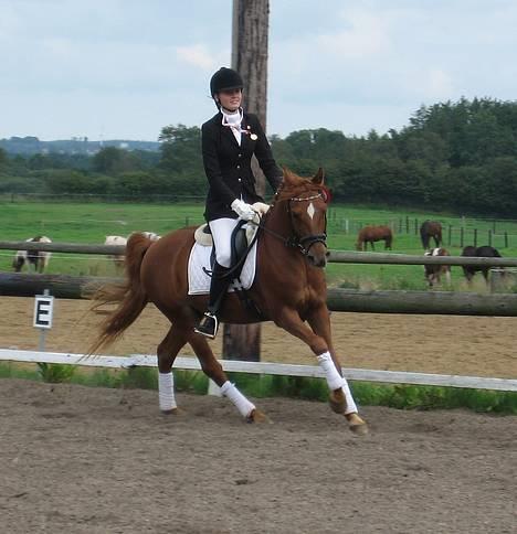 DSP Samson  (solgt) - stævne... billede 2