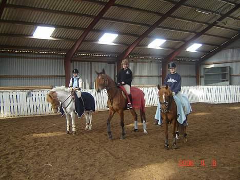 DSP Patricia*Solgt*Efterlyses - Mit spring hold.. vores træner gad ikk være med..hiih billede 7