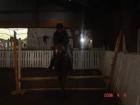 DSP Patricia*Solgt*Efterlyses - springer... billede 9