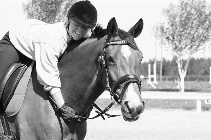 Westfaler Ronja - velkommen :) billede 2