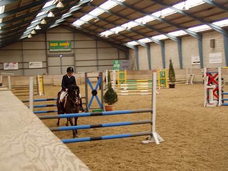 Anden særlig race Filur rakosi  solgt - ser lidt jovt ud men den kom over billede 6