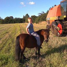 Anden særlig race Claus Benedicte Pedersen