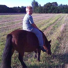 Anden særlig race Claus Benedicte Pedersen