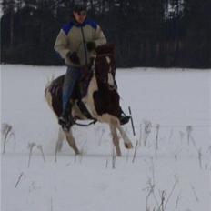 Anden særlig race Surprise