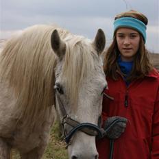 New Forest Nero *PASSER*