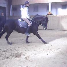 Anden særlig race Fantasy