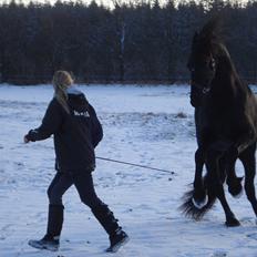 Frieser Acasia af stormarksgaarde stb.