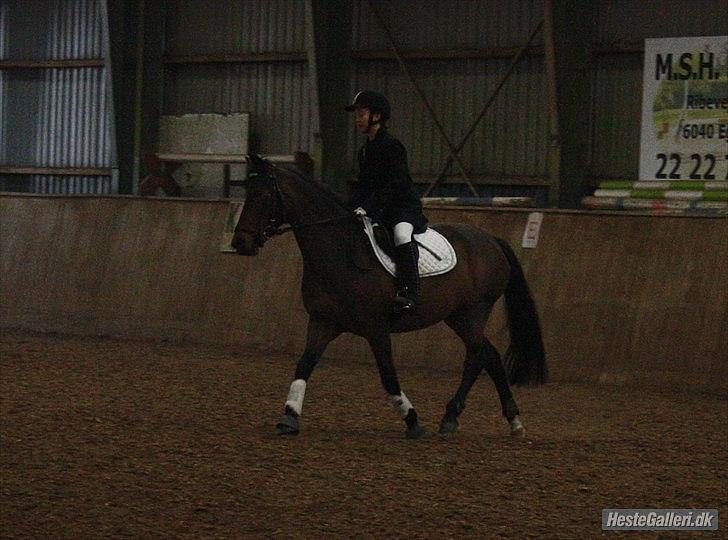 DSP Kvazandra Lapaz<3  billede 17