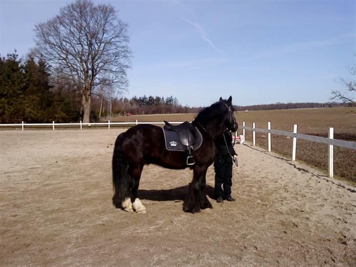 Tinker Flamingo FORTID <3 billede 13