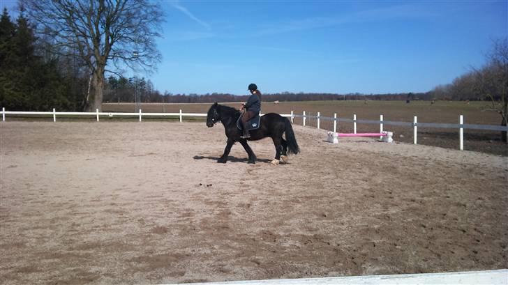 Tinker Flamingo FORTID <3 billede 14