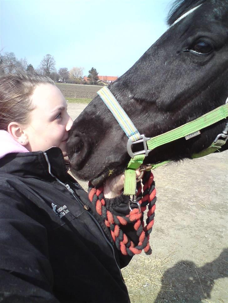 Anden særlig race yasmin, min passer hest. - Yasmin & jeg´ <3 billede 7