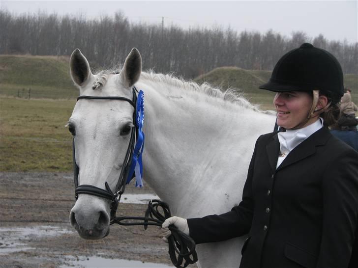 Tysk Sportspony My Fair Lady RSDH A-pony SOLGT billede 2