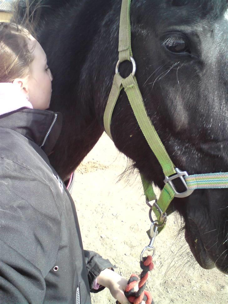 Anden særlig race yasmin, min passer hest. - Yasmin & jeg´ <3 billede 8