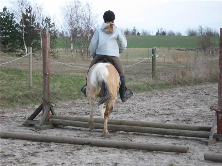 Anden særlig race Dundee. <3 - når enden er go er al ting godt i det her tilfælde rigtig go:D billede 8