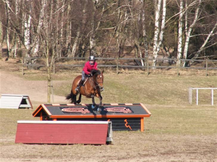 Holstener Step Dance - Trænings lejr i Sverige 2010. billede 18