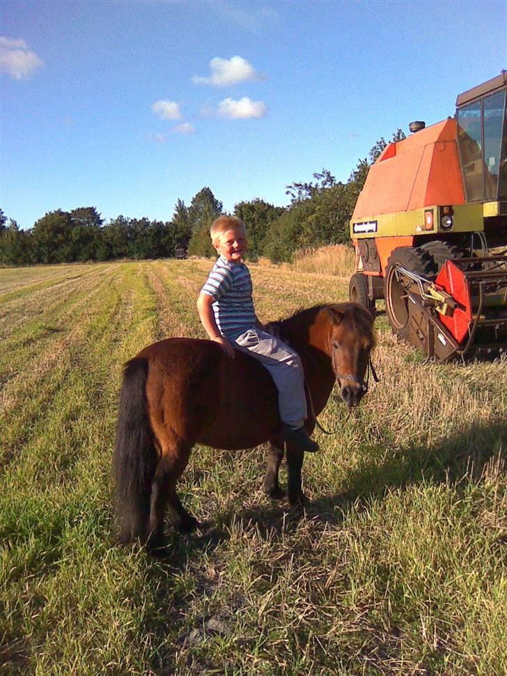 Anden særlig race Claus Benedicte Pedersen - Claus går en tur med Danny billede 2