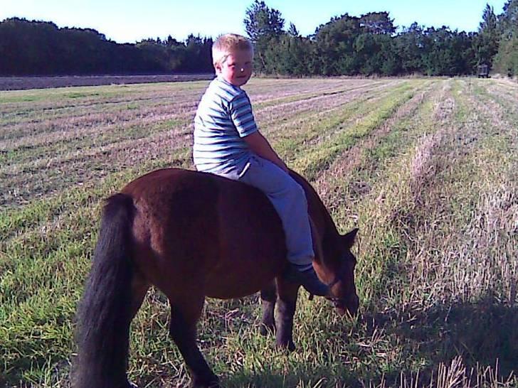 Anden særlig race Claus Benedicte Pedersen - Claus er ikke begyndt at bukke med Danny, det kommer når han kræver noget af tyksakken billede 3