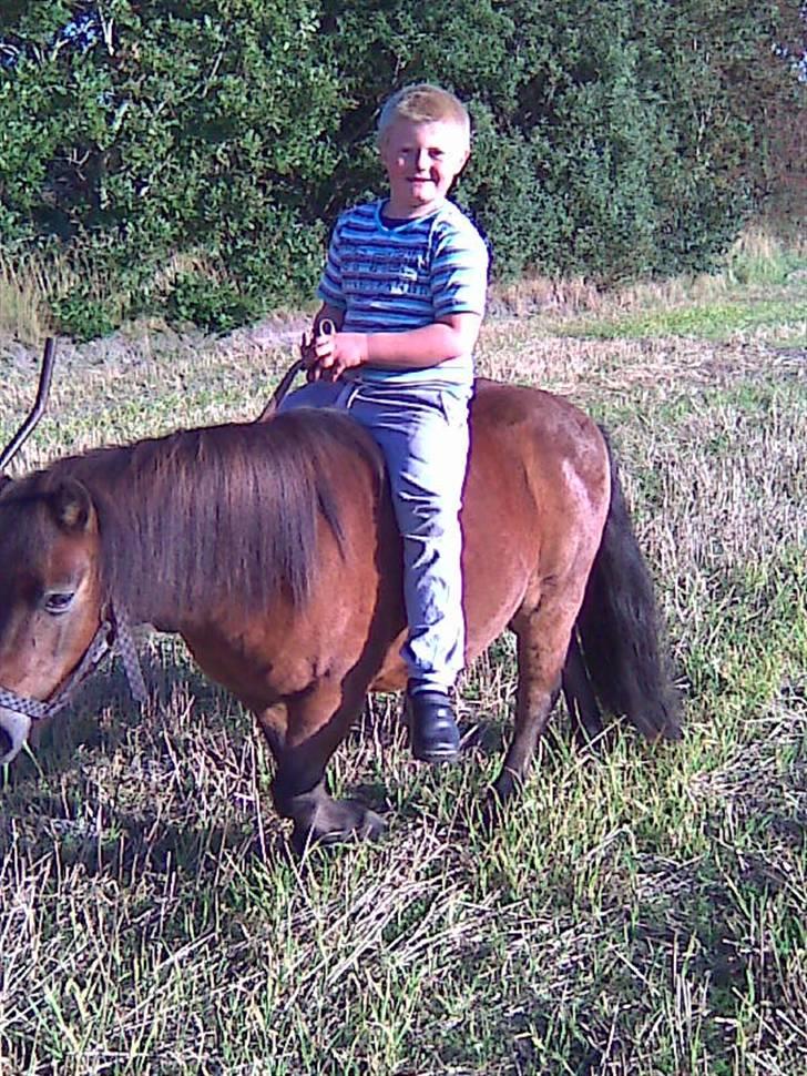 Anden særlig race Claus Benedicte Pedersen - Claus render ud af fokus... billede 4