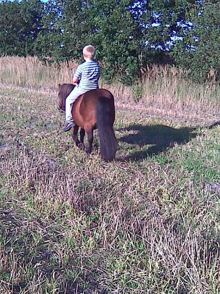 Anden særlig race Claus Benedicte Pedersen - Claus skrider, hader kameraer... billede 5