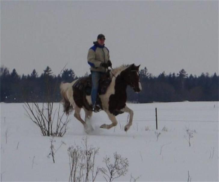 Anden særlig race Surprise - Min lille skat <3 billede 6