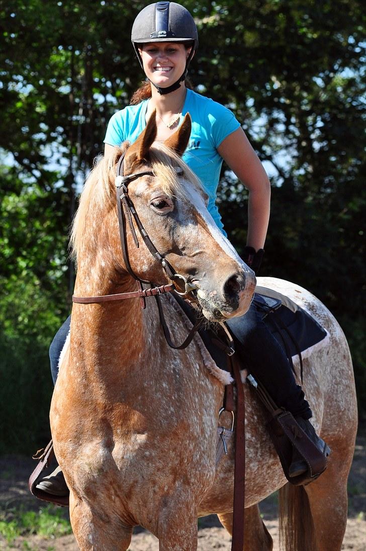 Appaloosa Mister Sebrano *SOLGT* billede 13